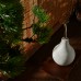 Squeeze Bottle Plant Watering Pot Indoor Plant Squeeze Bulb 224ml Balloon Mist Sprayer